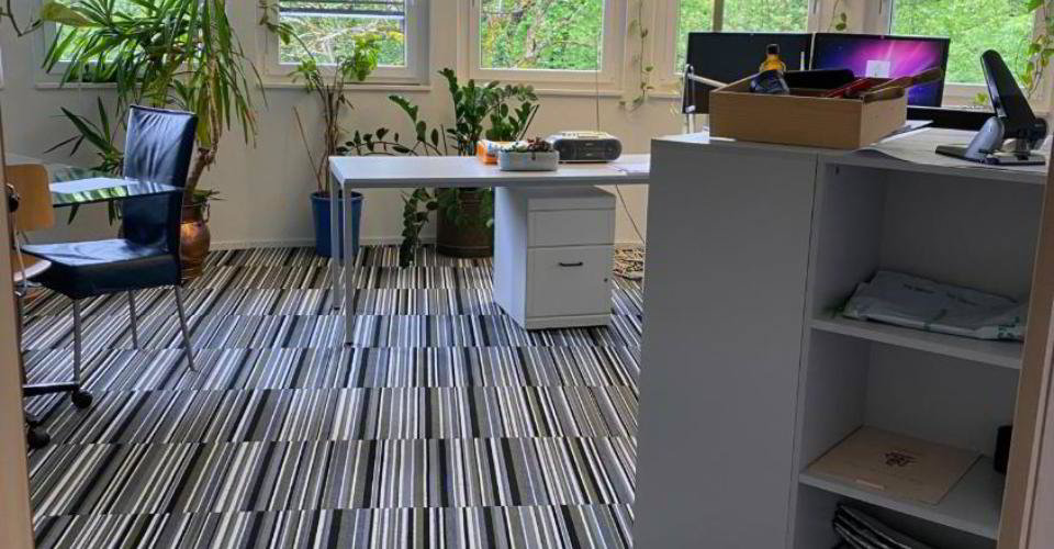 Ufficio & Commercio di null locali in affitto a Chailly-Montreux - immagine 1/4
