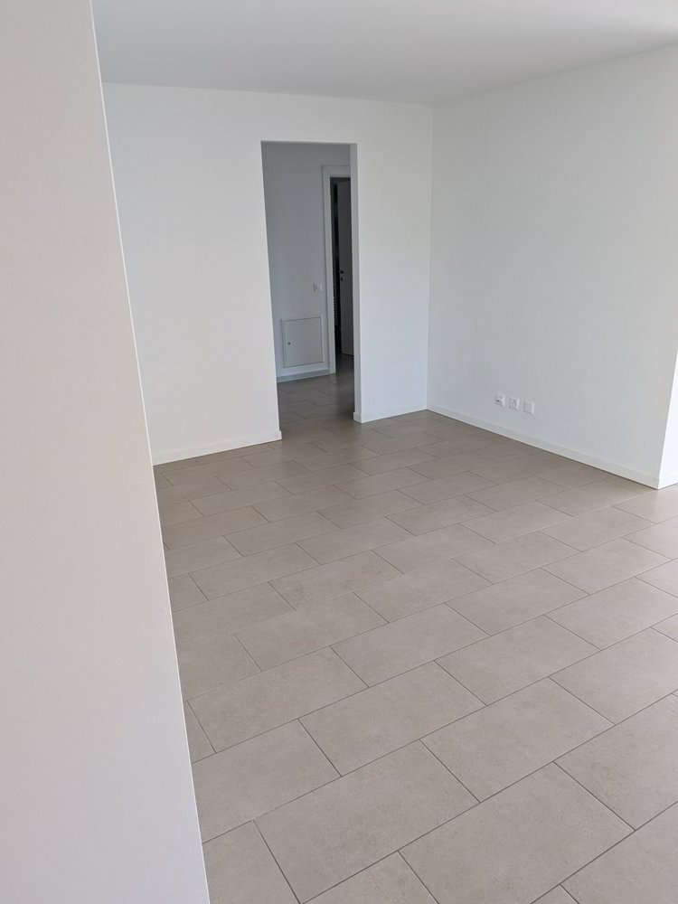 null Zimmer Wohnung zum verkaufen in Novaggio - Bild 1/5