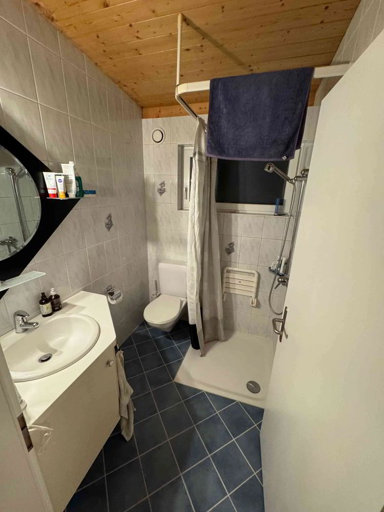 Appartement 3 pièces à louer à Unterterzen - image 1/11