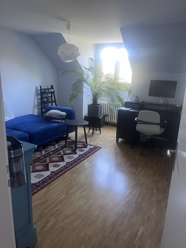 Appartement 3 pièces à louer à Berne - image 1/9
