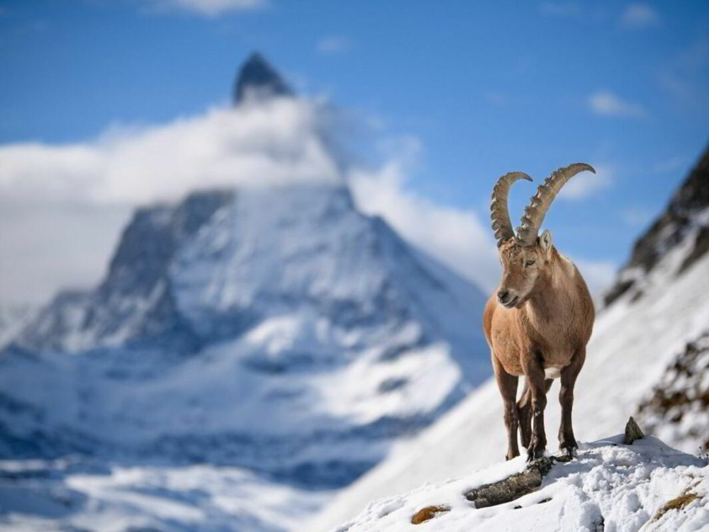 Terreno di null locali in vendita a Zermatt - immagine 1/1