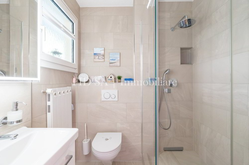 3.5 rooms Apartment to buy in Brissago - image 1/8