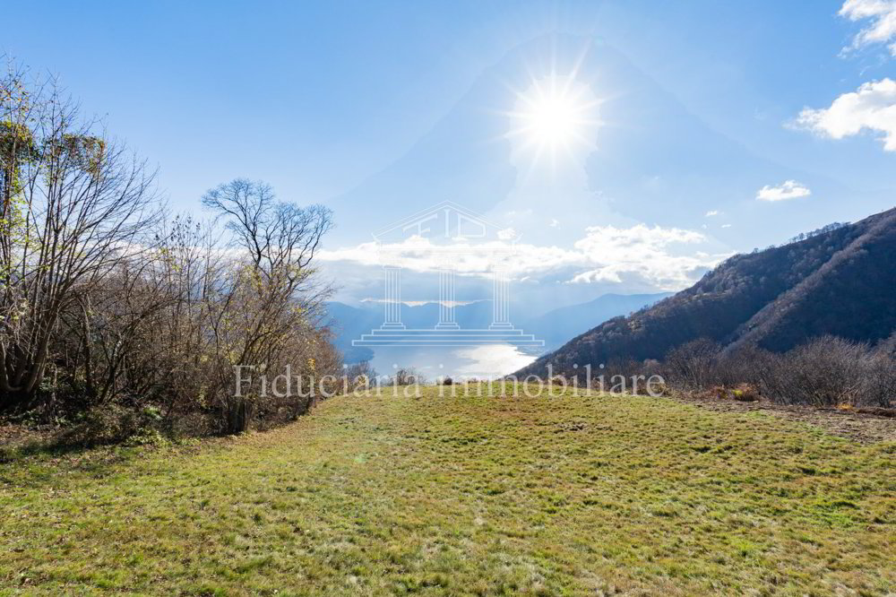 Maison 3.5 pièces à acheter à Brissago - image 1/13