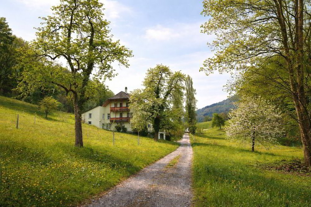 7.5 rooms Apartment for rent in Weggis - image 1/8