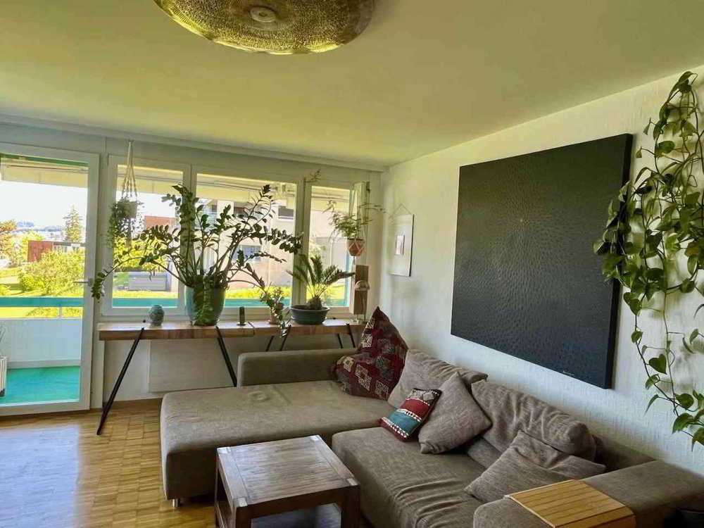 4.5 rooms Apartment for rent in Oberrieden - image 1/9