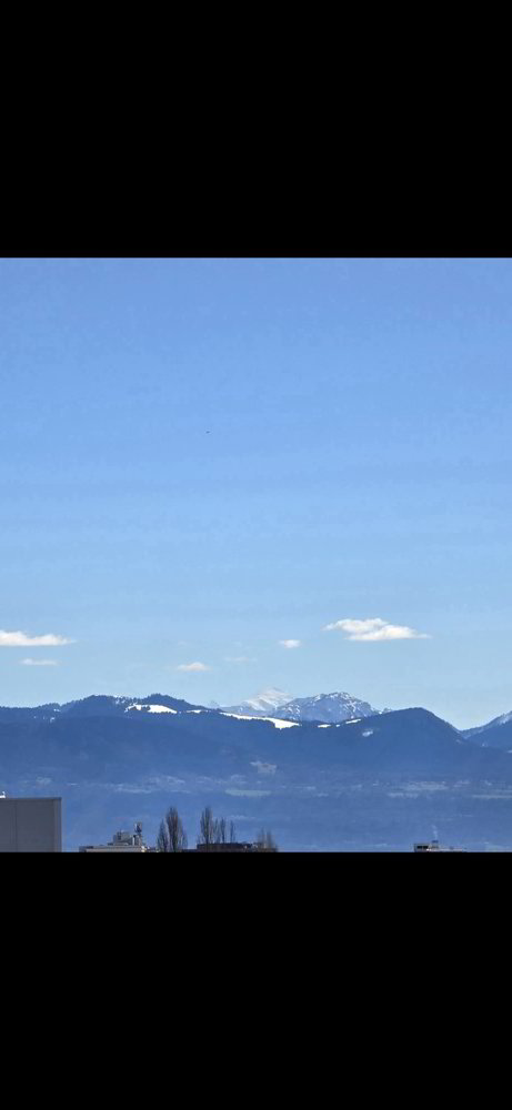 Appartamento di 2 locali in affitto a Renens VD - immagine 1/5