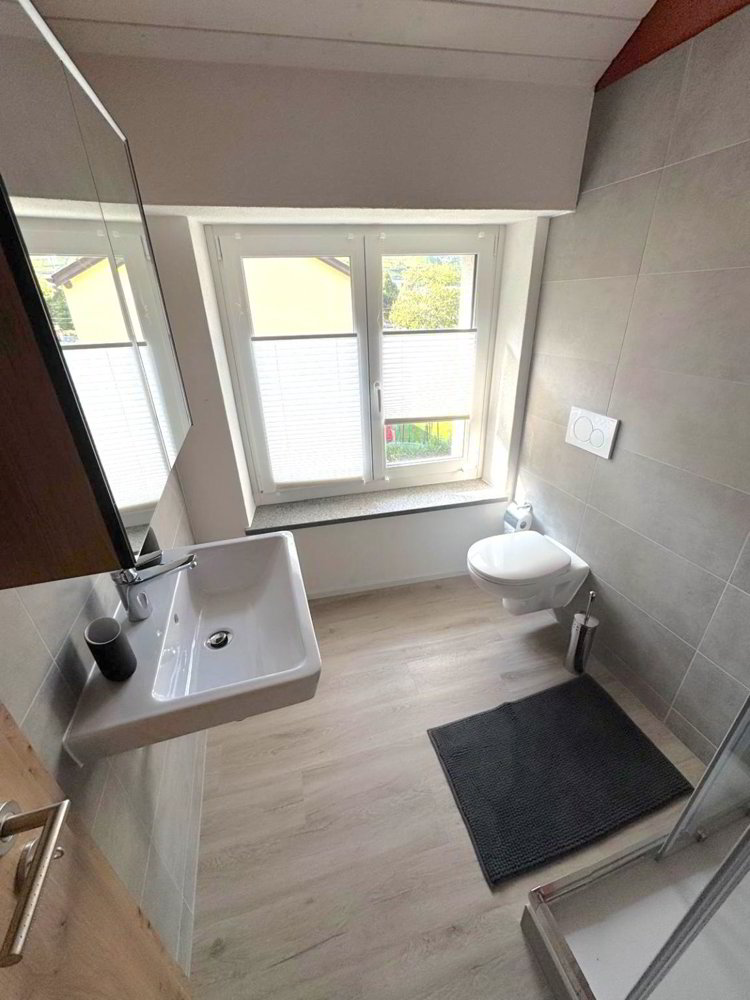 Casa di 2 locali in affitto a Martigny - immagine 1/13