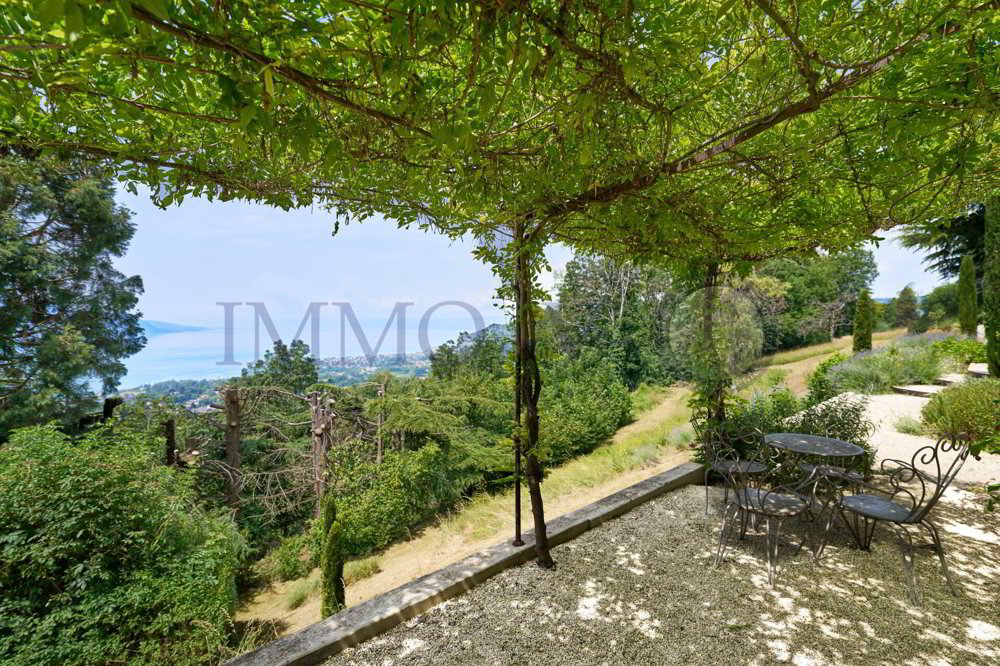 Appartamento di 7 locali in affitto a Chamby - immagine 1/20