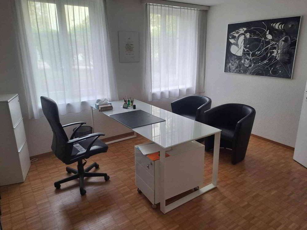 Bureau & Commerce 1 pièces à louer à Thalwil - image 1/8