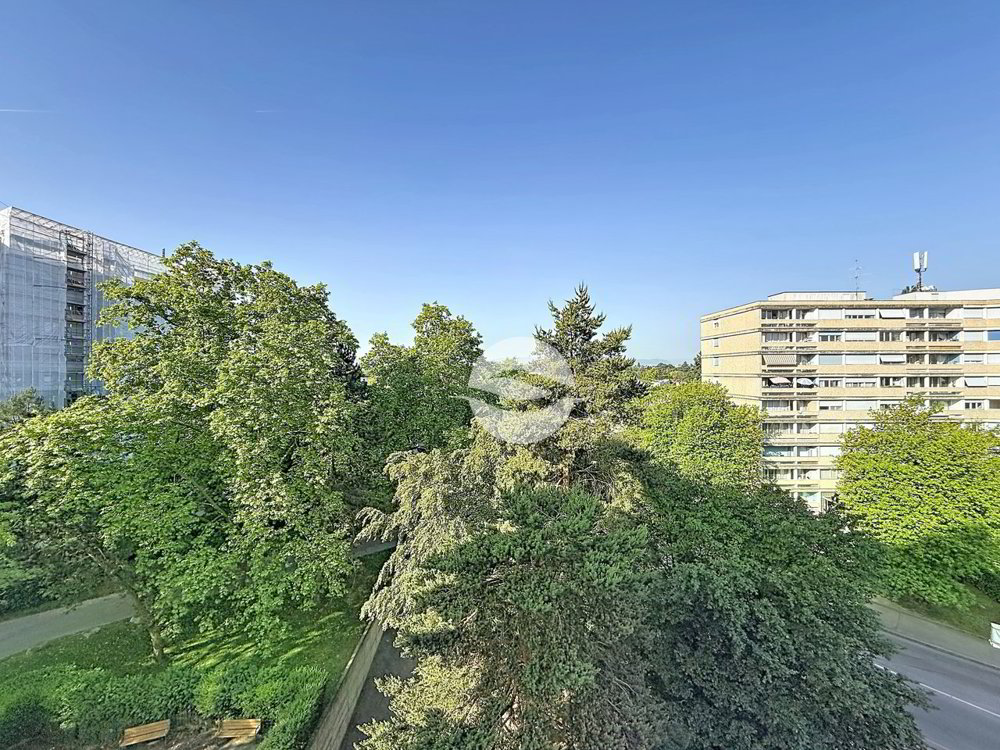 Appartamento di 5 locali in affitto a Onex - immagine 1/11