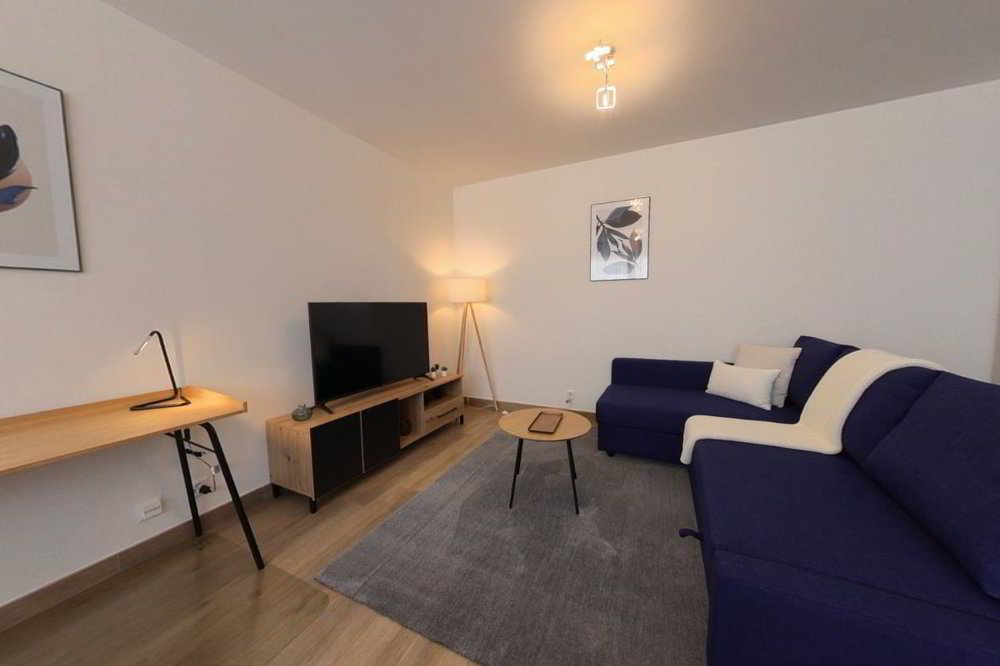 Appartamento di 2 locali in affitto a Lausanne - immagine 1/1