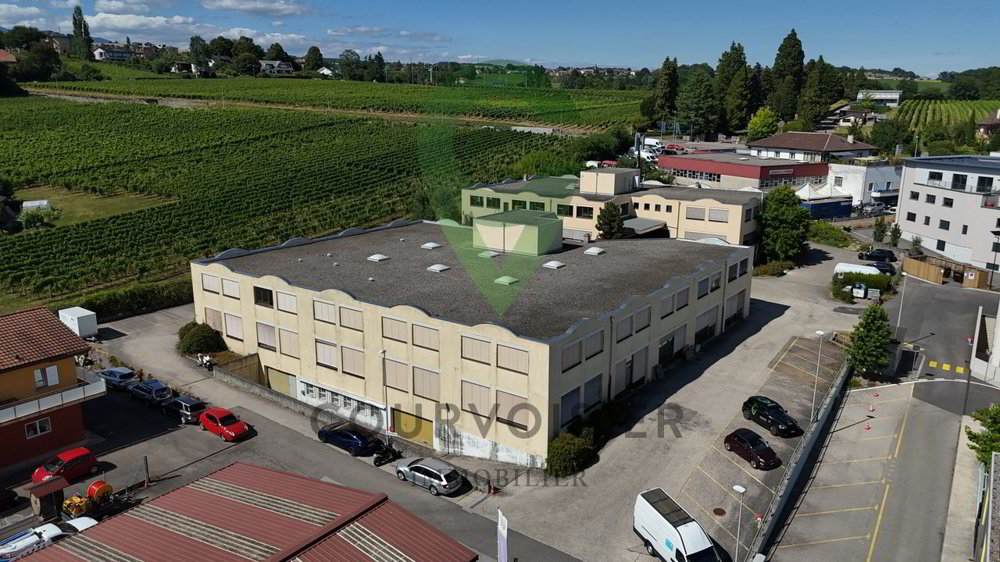 Ufficio & Commercio di 1 locali in vendita a Aubonne - immagine 1/10