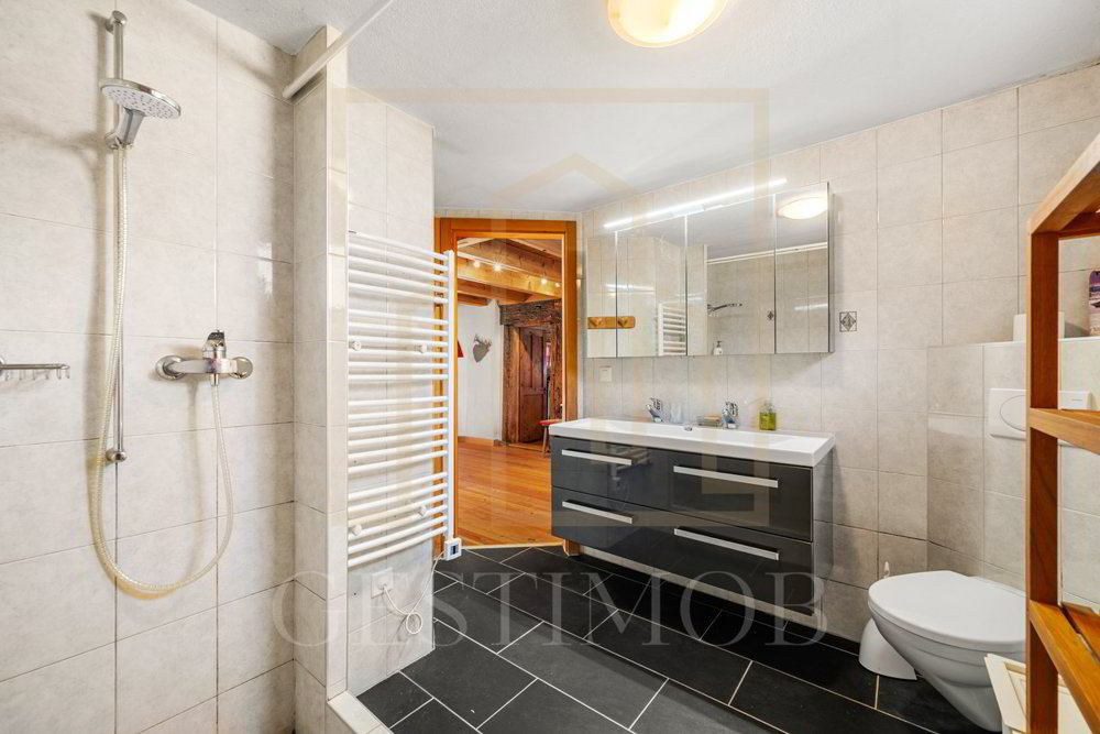 7 Zimmer Haus zum verkaufen in Val-d'Illiez - Bild 1/13