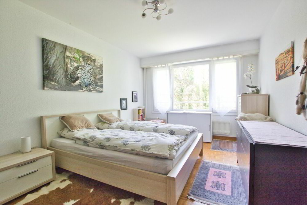 3 Zimmer Wohnung zum verkaufen in Grand-Lancy - Bild 1/7