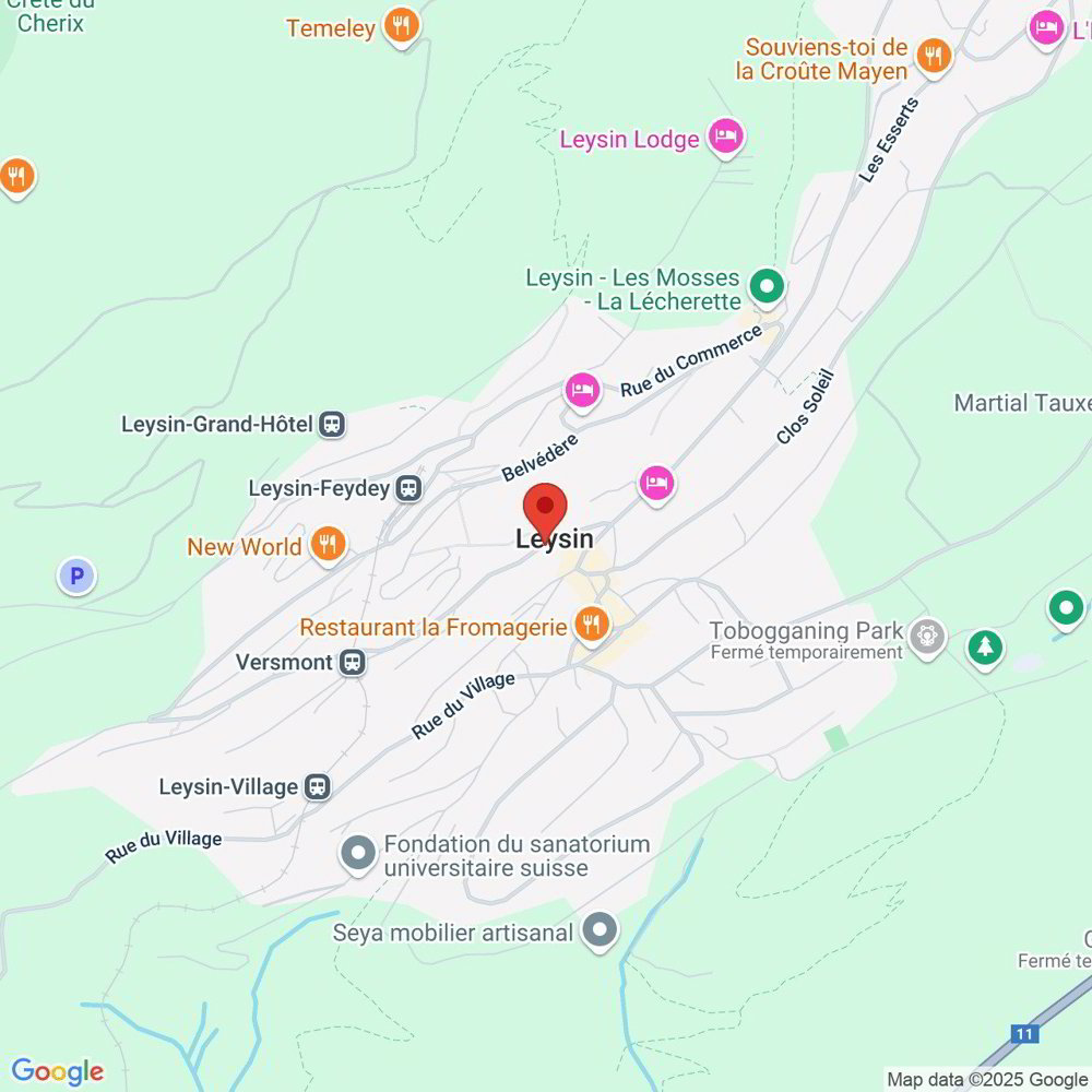 Appartamento di 3 locali in vendita a Leysin - immagine 1/13