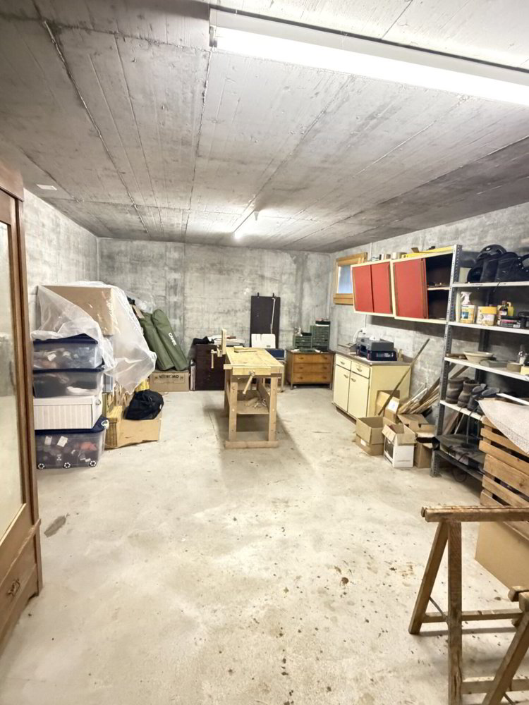 Maison 5.5 pièces à acheter à Sissach - image 1/31