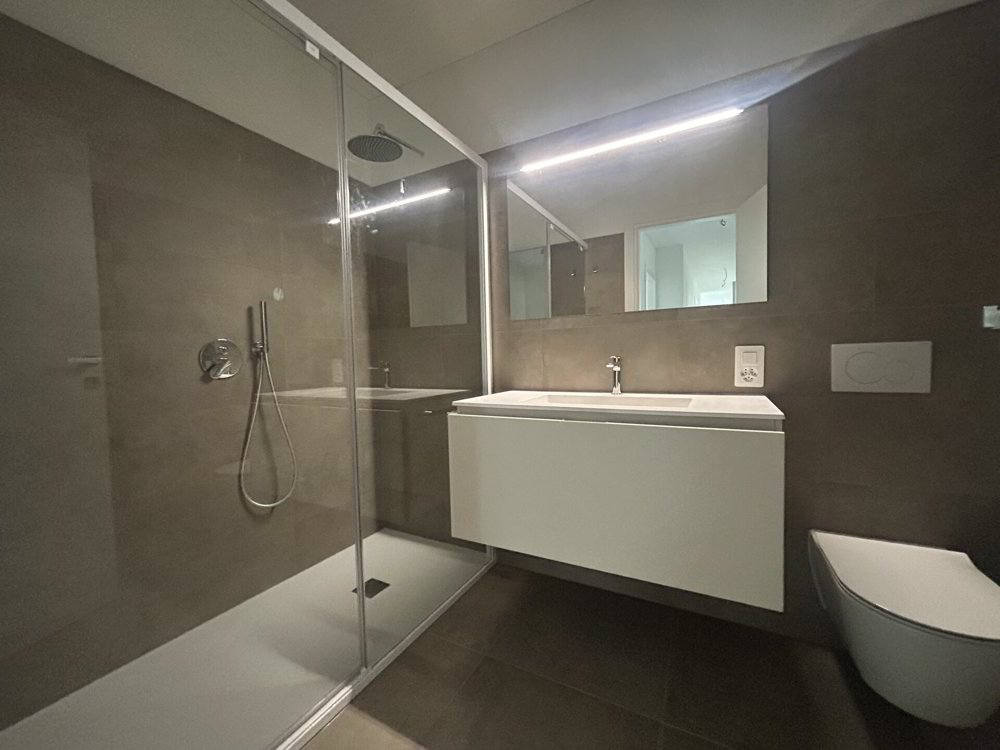 Appartement 4.5 pièces à acheter à Camorino - image 1/5