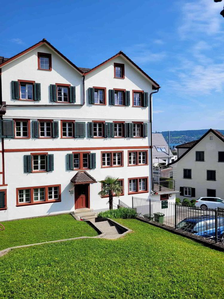 4.5 rooms Apartment for rent in Wädenswil - image 1/9