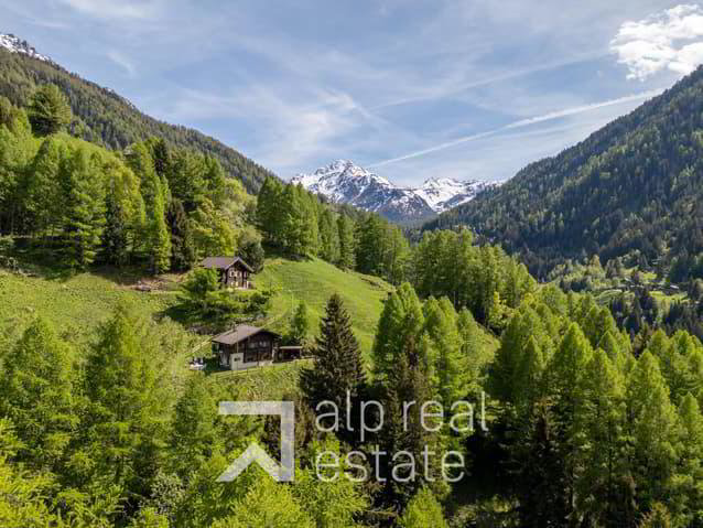 Maison 4.5 pièces à acheter à Haute-Nendaz - image 1/13