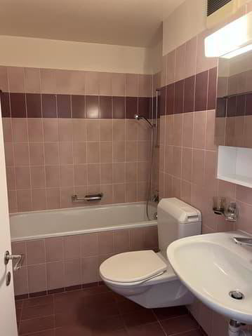 Appartamento di 3 locali in affitto a Lausanne - immagine 1/11