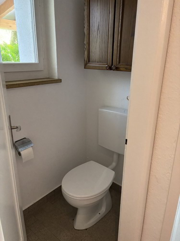 5 rooms House to buy in Rikon im Tösstal - image 1/13