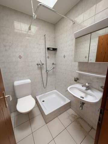 3.5 rooms Apartment for rent in Saxon - image 1/7