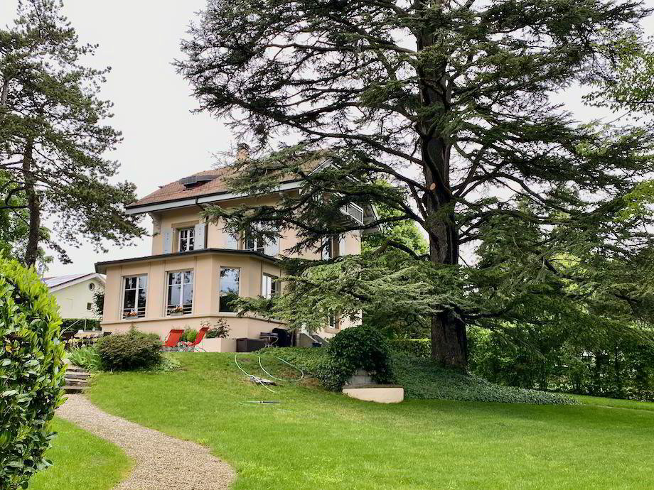 6 Zimmer Haus zum verkaufen in Versoix - Bild 1/2