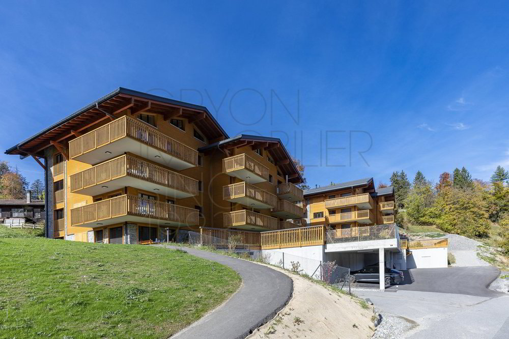 2 Zimmer Wohnung zu vermieten in Gryon - Bild 1/11