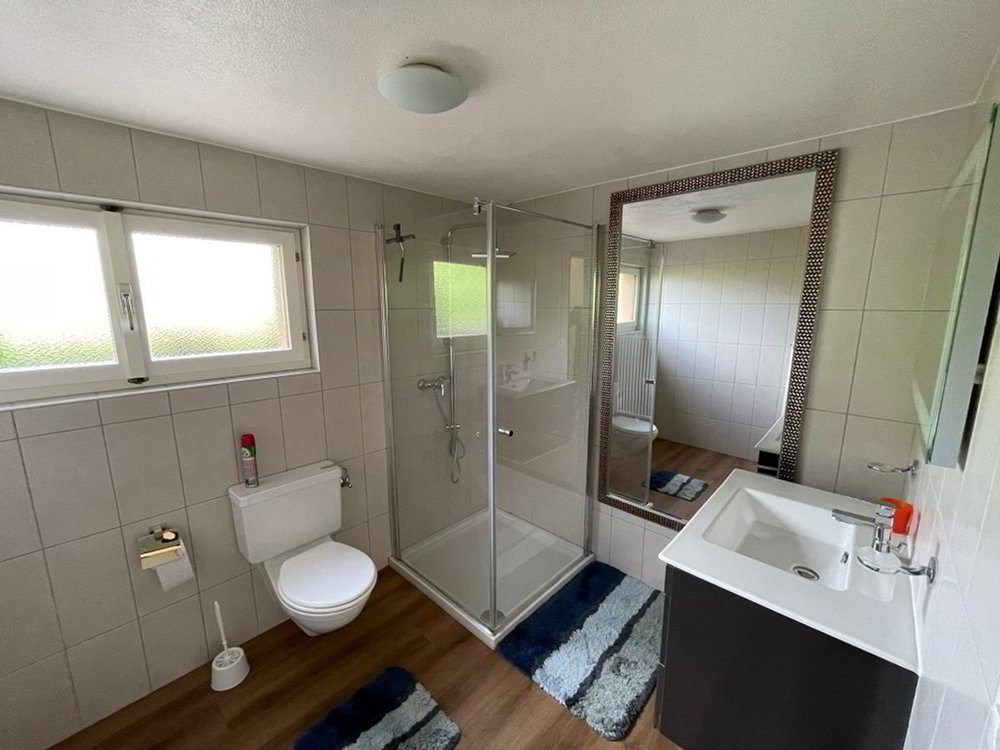 Appartement 1.5 pièces à louer à Courtételle - image 1/8
