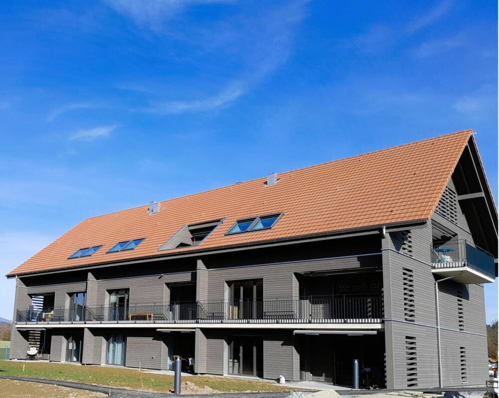 Appartamento di 5.5 locali in affitto a Rapperswil BE - immagine 1/13
