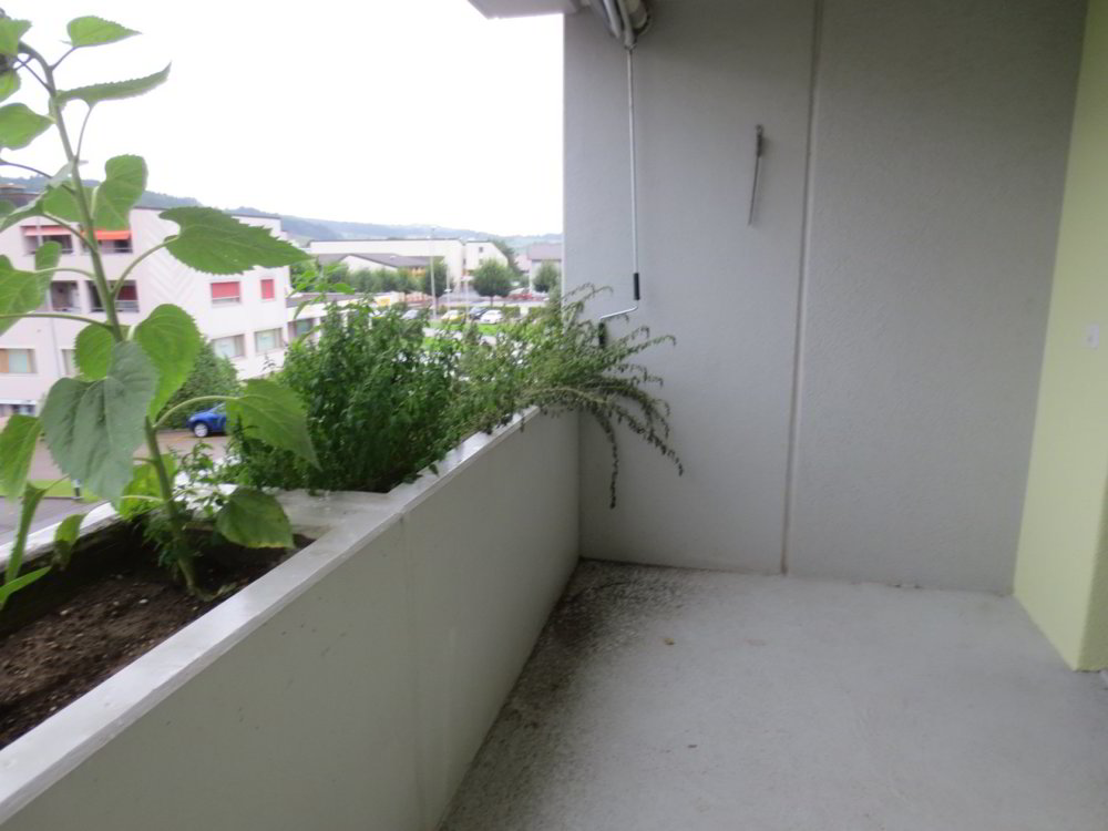 Appartement 4.5 pièces à louer à Nebikon - image 1/10