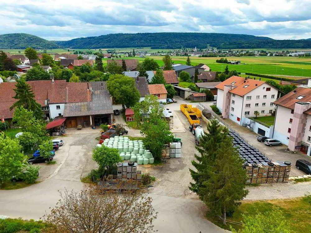 Terreno di null locali in vendita a Gächlingen - immagine 1/5