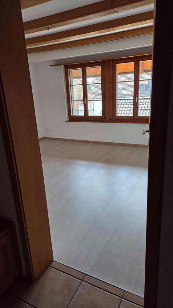 4.5 rooms Apartment for rent in Wil ZH - image 1/13