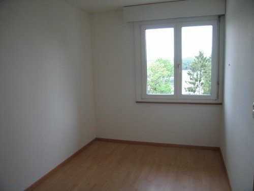 Appartamento di 3 locali in affitto a Bern - immagine 1/7