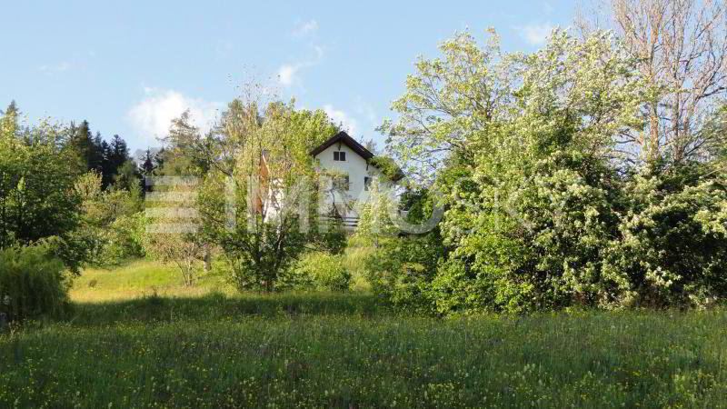 Terreno di null locali in vendita a Ovronnaz - immagine 1/5