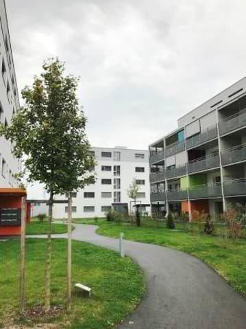 Appartamento di 3.5 locali in affitto a Avenches - immagine 1/6