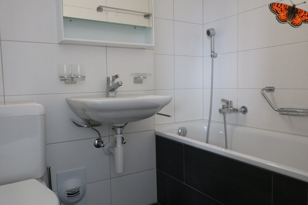 Appartement 1 pièces à louer à Avenches - image 1/6