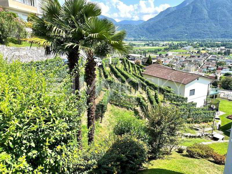 Terreno di null locali in vendita a Gordola - immagine 1/3