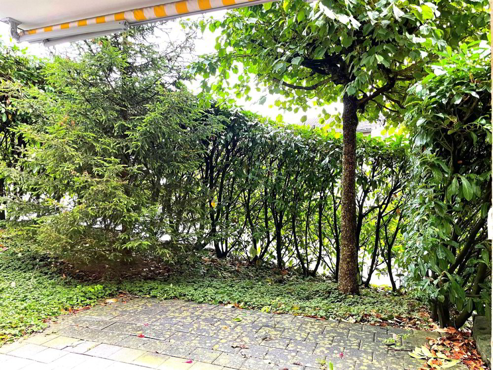 Appartement 2 pièces à louer à Horgen - image 1/10