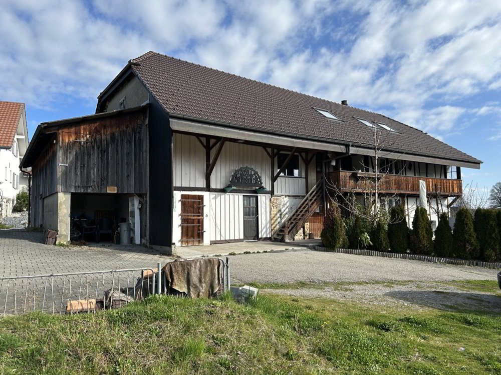 null rooms House to buy in Wünnewil - image 1/14
