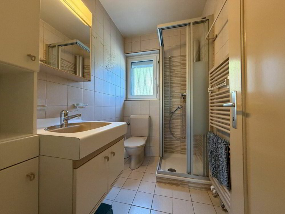 Maison 5 pièces à acheter à Vouvry - image 1/13