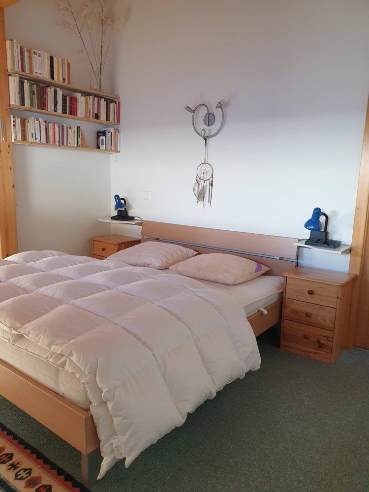 Casa di 6 locali in affitto a Arbaz - immagine 1/13