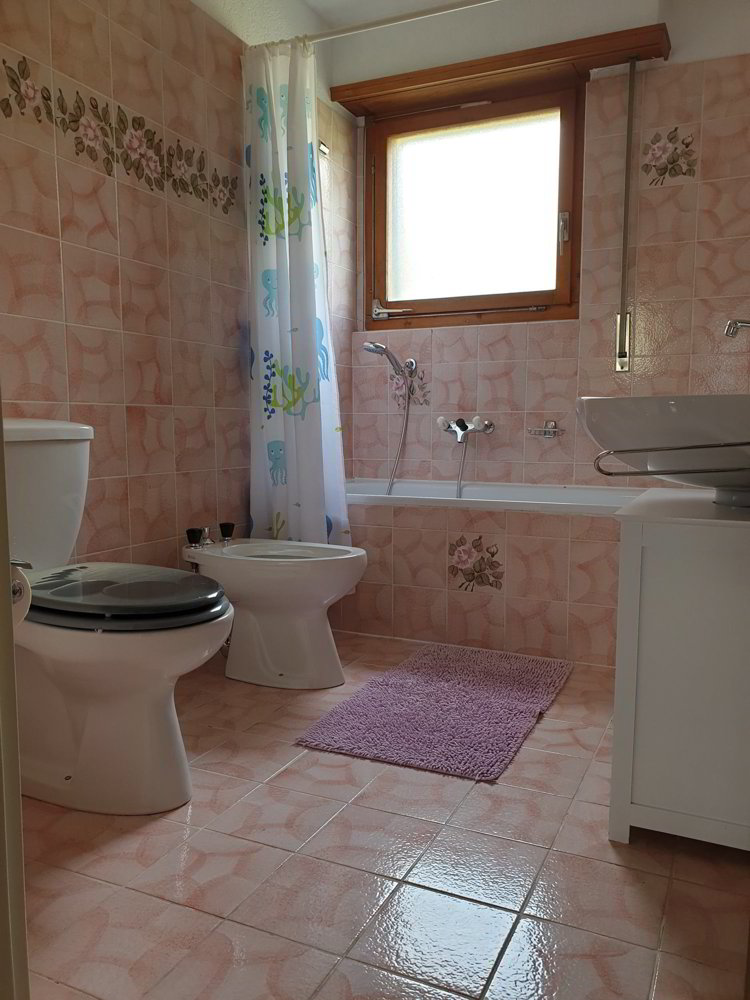 Appartamento di 4 locali in affitto a Arbaz - immagine 1/13