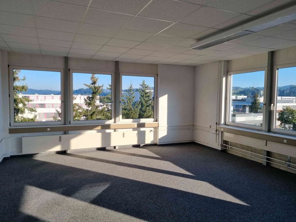 Ufficio & Commercio di 1 locali in affitto a Oberbüren - immagine 1/4