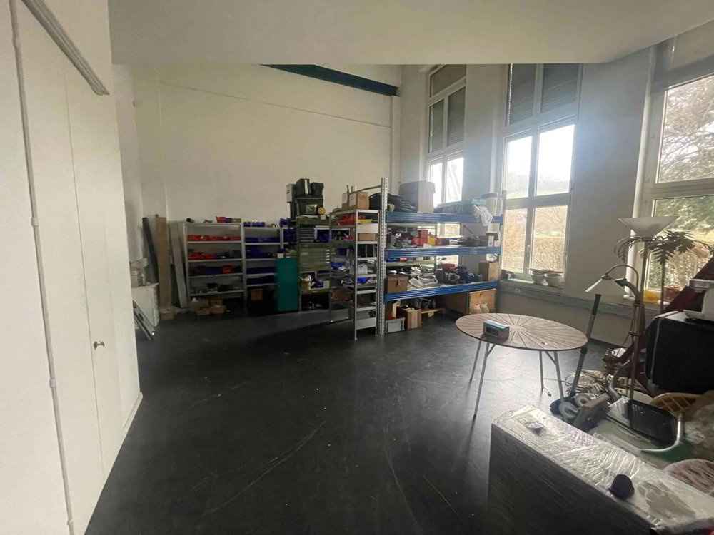 Ufficio & Commercio di 6 locali in affitto a Schaffhouse - immagine 1/6