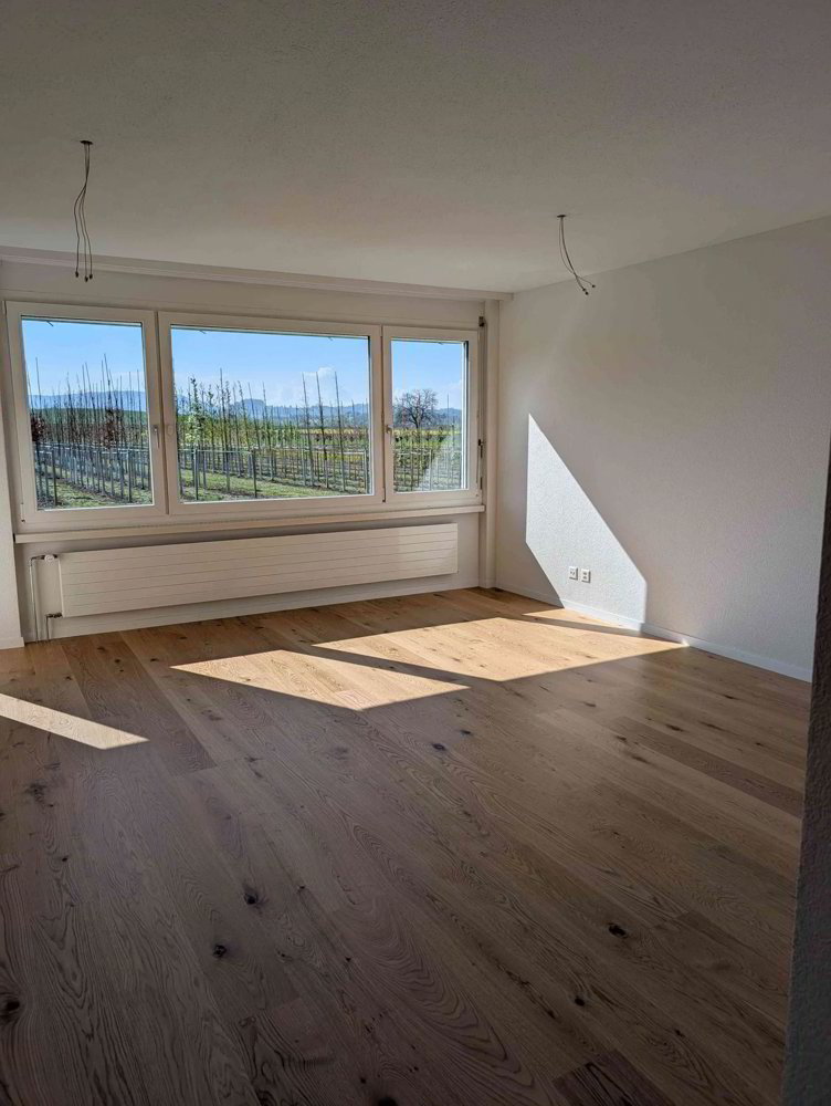 4.5 rooms Apartment for rent in Rafz - image 1/10