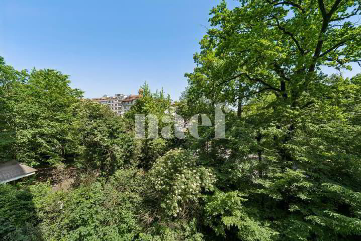 3 rooms Apartment for rent in Geneva - image 1/10