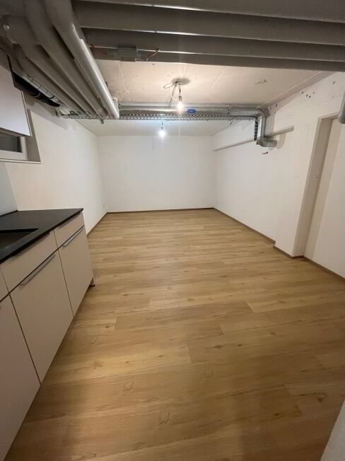 null rooms Office & Commercial for rent in Niederlenz - image 1/1