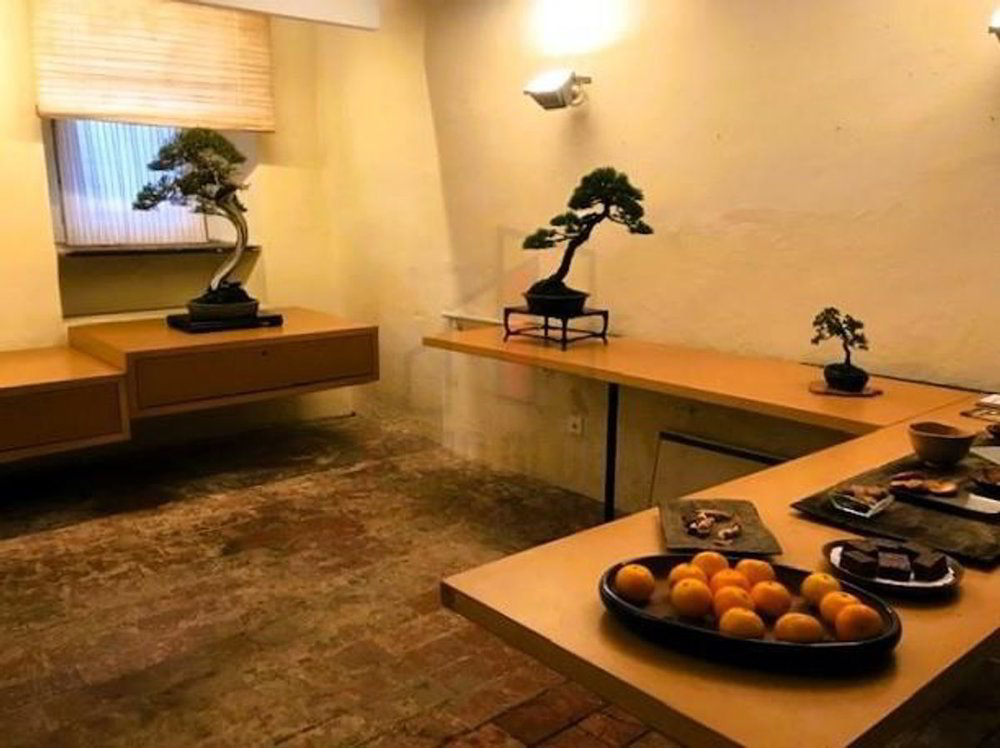 12 rooms House to buy in Caslano - image 1/13