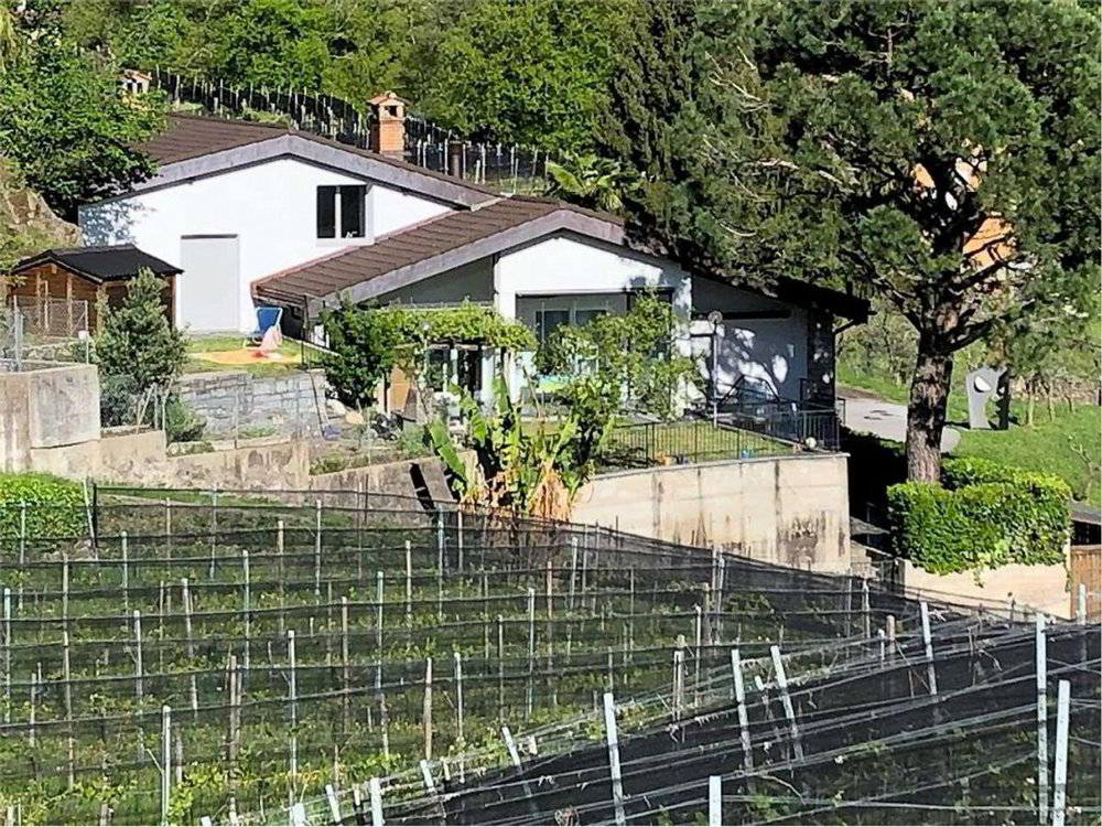 Appartamento di 7 locali in vendita a Ponte Tresa - immagine 1/6